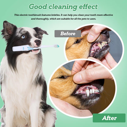 TEHAUX Electric Doggie Toothbrush with Soft Bristles, Puppy Toothpaste Brush for Small Dogs - Pet Puppy Portable Design Electric Brush with Replacement Head Travel Use - Batteries Not Included