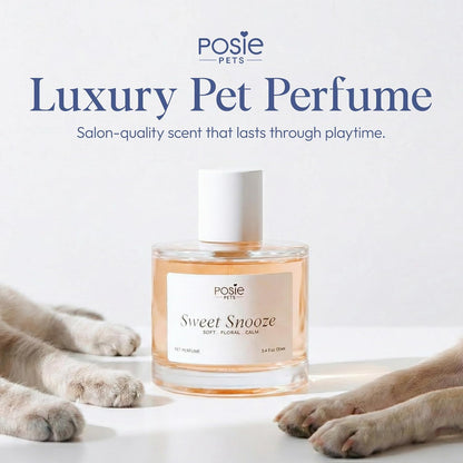 Dog Cologne Spray with Long Lasting Jasmine, Musk, and Vanilla Scent - Vegan Alcohol-Free Pet Deodorizer for Smelly Dogs - Water-Based Luxury Puppy Grooming Fragrance - Sweet Snooze, 100ml