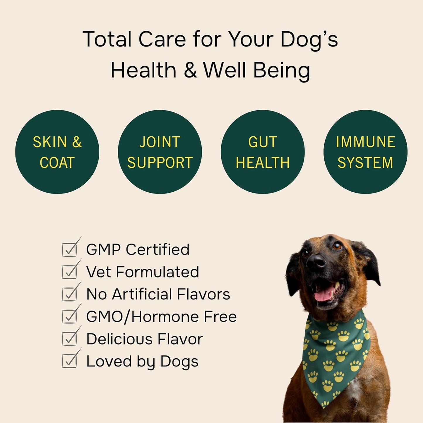 PetMeds Multivitamin Supplement for Dogs - Daily Vitamin with Kelp, Spirulina, Ashwagandha, Glucosamine & Probiotics for Immune, Joint, Skin & Gut Health - Beef & Sweet Potato Flavor - 60 Soft Chews