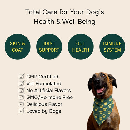 PetMeds Multivitamin Supplement for Dogs - Daily Vitamin with Kelp, Spirulina, Ashwagandha, Glucosamine & Probiotics for Immune, Joint, Skin & Gut Health - Beef & Sweet Potato Flavor - 60 Soft Chews