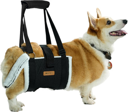 Dog Lift Harness Sling for Medium Dogs & Console Dog Car Seat for Small Dogs