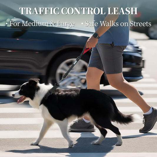 VIVAGLORY Dog Fleece Coat + Short Dog Leash, Easy to Take on and Off, Padded Neoprene & Heavy Duty