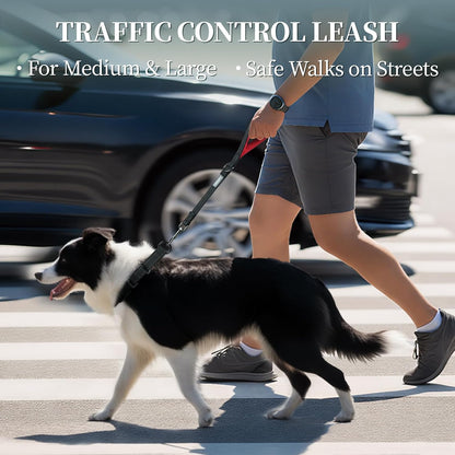 VIVAGLORY Dog Fleece Coat + Short Dog Leash, Easy to Take on and Off, Padded Neoprene & Heavy Duty