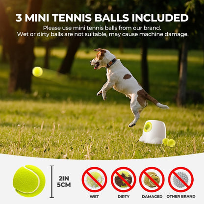 ALL FOR PAWS Automatic Ball Launcher for Dogs Interactive Puppy Pet Ball Indoor Thrower Fetch Machine, 3 Balls Included (2 inch) for Small to Medium Dogs