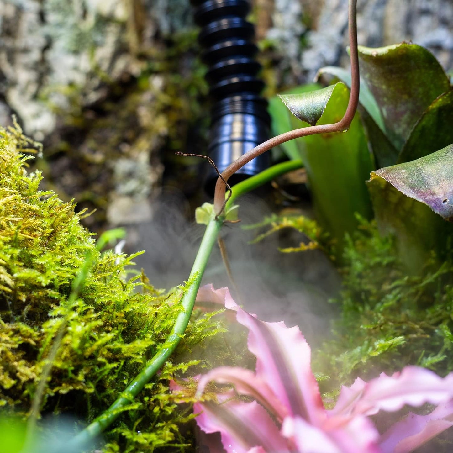 REPTIZOO Reptile Humidifier Fogger, 4L Large Reptile Fogger with Humidity Control, Terrarium Humidifiers with Extended Tube Automatic Reptile Misting System for Reptiles Amphibians Herps Vivarium