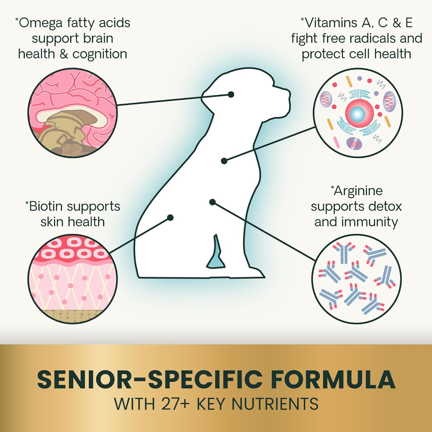 VetriScience Senior 27+ Active Health Chews, Canine Plus Daily Multivitamin for Senior Dogs, Balanced Vitamins, Minerals and Antioxidants, Healthy Aging and Wellness Support, Veggie, 60 Count