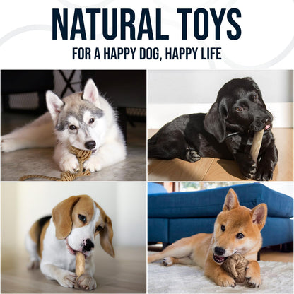 4Pcs Coffee Wood Chew Stick & Hemp Dog Ball Toy for Small & Medium Dog 25-50lbs, 100% Natural, Teething Chewing Interactive to Keep Them Busy, Wood Chew Toy for Birthday