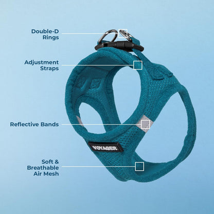Best Pet Supplies Voyager Step-in Air Harness - All Weather Mesh, Reflective, No Pull Harness for Dogs, Cats - Secure with Hook & Loop Fastener, Buckle, Double D-Rings - Turquoise, XS