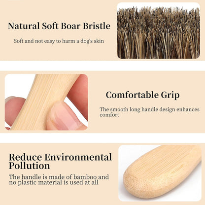 Soft Boar Bristle Dog Brush for Short Haired, Gentle Deshedding & Grooming Tool, Ideal Pet Hair Brush, Puppy Essentials for Grooming and Shedding, Small