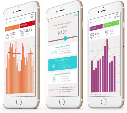 FitBark 2 Dog Activity Monitor | Health & Fitness Tracker for Dogs | Waterproof, Small & Leightweight (10 g) | Not a GPS Tracker