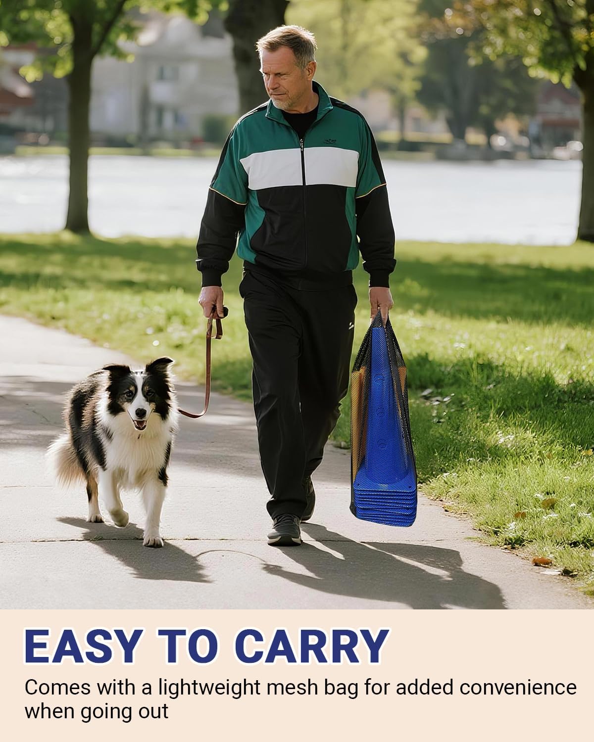 Dog Agility Course Backyard Set, Dog Agility Hurdle Cone Set with Height Adjustable Crossbar for Rehabilitation & Beginners, Dog Agility Equipment for Dog Obstacle Course - 18 Inch