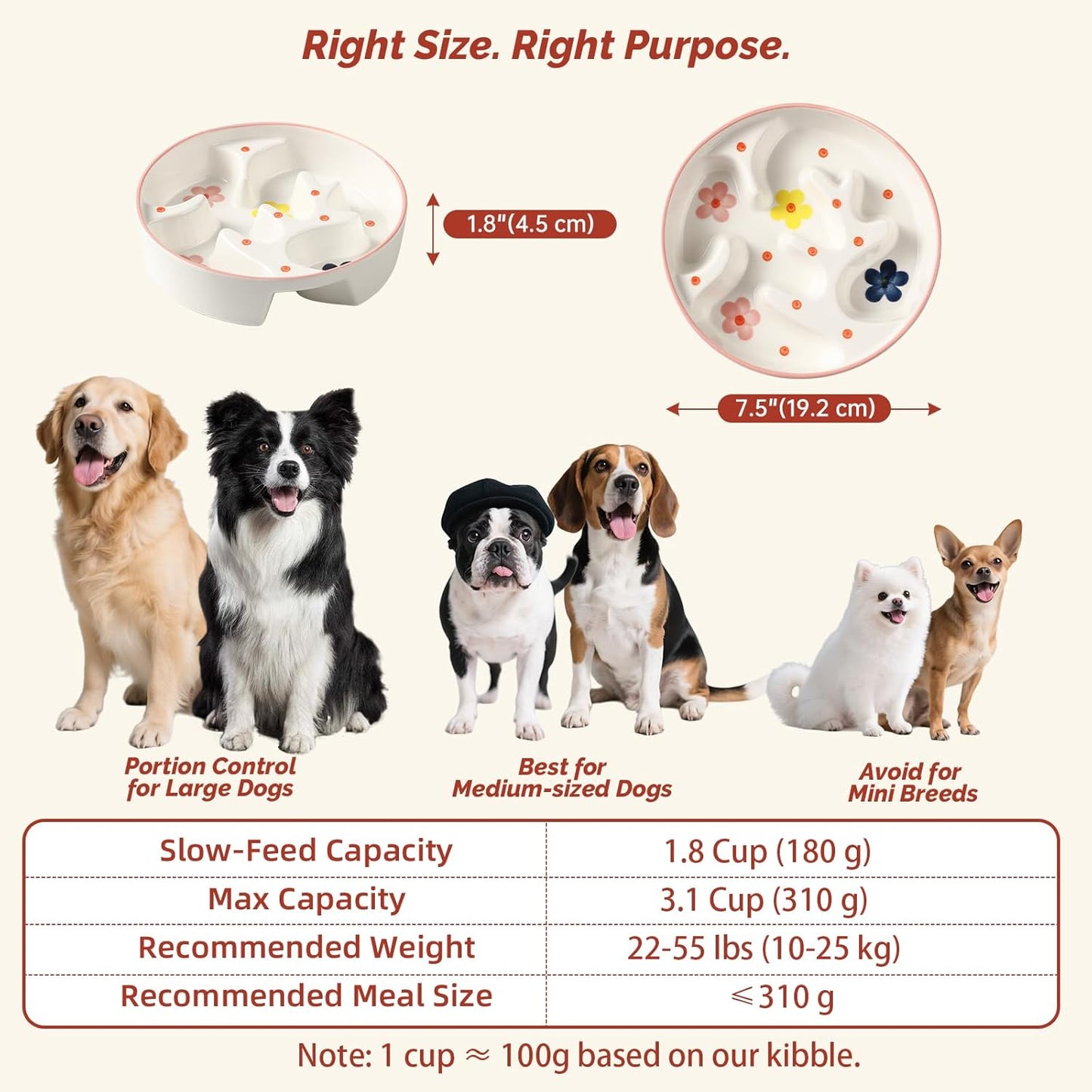 Dog Food and Water Bowl Set - Ceramic Slow Feeder Bowl & Raised Double Dish with Splash-Proof Stand - Feeding Combo for Medium Dogs