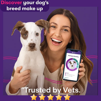 ORIVET GenoPet Dog DNA Test Kit | Vet-Approved | Identify 365+ Dog Breeds | Canine Ancestry & Genetic Health Traits | at-Home Swab | Results in 21–25 Days from Kit Arrival