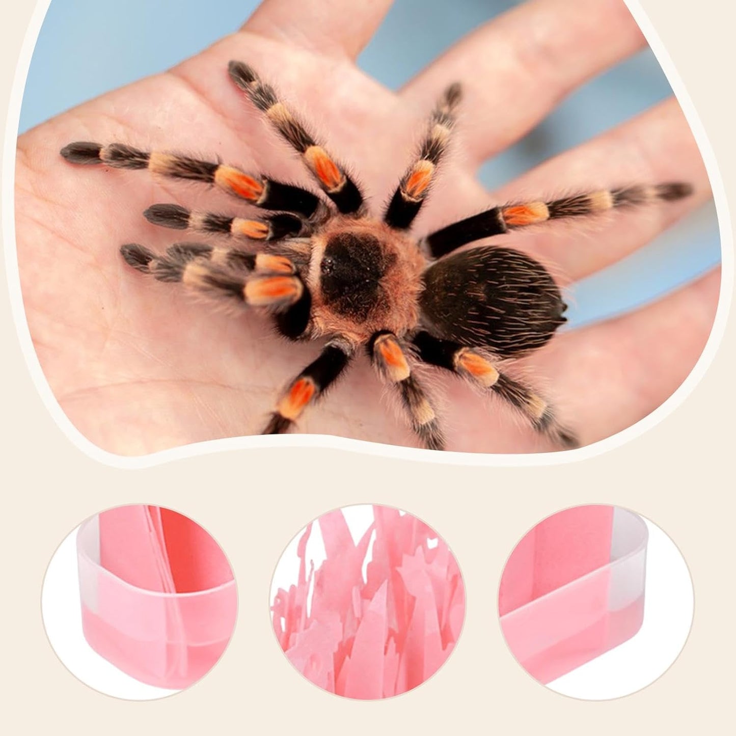 Reptile Humidifier with Water Basin Terrarium Humidifying System for Chameleon Turtles Lizard Amphibians-