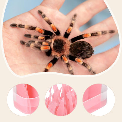 Reptile Humidifier with Water Basin Terrarium Humidifying System for Chameleon Turtles Lizard Amphibians-