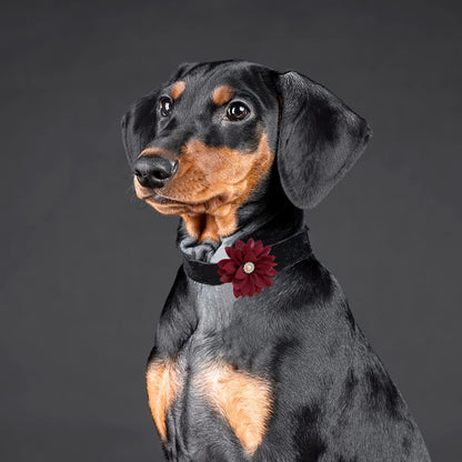 Collar Flowers with Pearl, 20 Pcs Dog Collar Bow Ties Multi-Color Dog Charms Flower for Cat Puppy Grooming Accessories(Small)