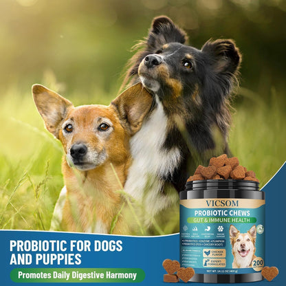 Dog Probiotics for Dogs, 200 Soft Probiotics Chews for Dogs Digestive Health Gut Health & Immune System, with 6 Probiotics & Digestive Enzymes, Support Itchy Skin, Constipation & Diarrhea Relief