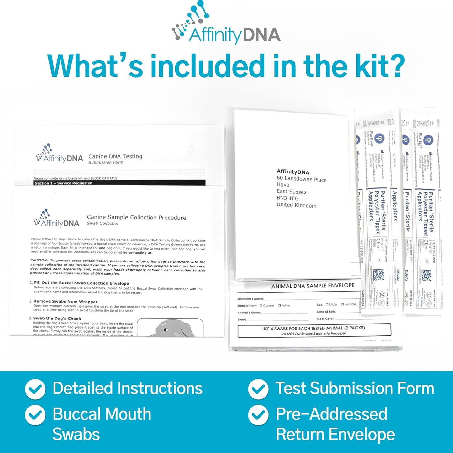 Dog Collie Eye Anomaly Choroidal Hypoplasia (CEA/CH) DNA Test | Home Sample Collection Kit for 1 Dog | Results in 7 Working Days | A Complete Kit with No Extra Fees