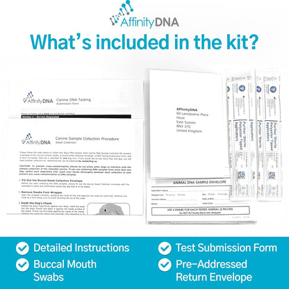 Dog Collie Eye Anomaly Choroidal Hypoplasia (CEA/CH) DNA Test | Home Sample Collection Kit for 1 Dog | Results in 7 Working Days | A Complete Kit with No Extra Fees