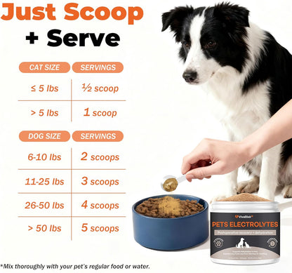 Electrolytes for Dogs – Vet-Formulated Hydration Supplement– Supports Post-Surgery & Illness Recovery– Helps Replenish Fluids & Electrolytes Lost from Diarrhea, Vomiting & Poor Appetite