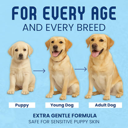 Organic Dog Shampoo - Puppy Oatmeal Shampoo for Itchy Skin Relief - Hypoallergenic for Sensitive Skin, for Dogs of All Ages, Deodorizes, Tearless, Made in USA, 16oz (Lavender)