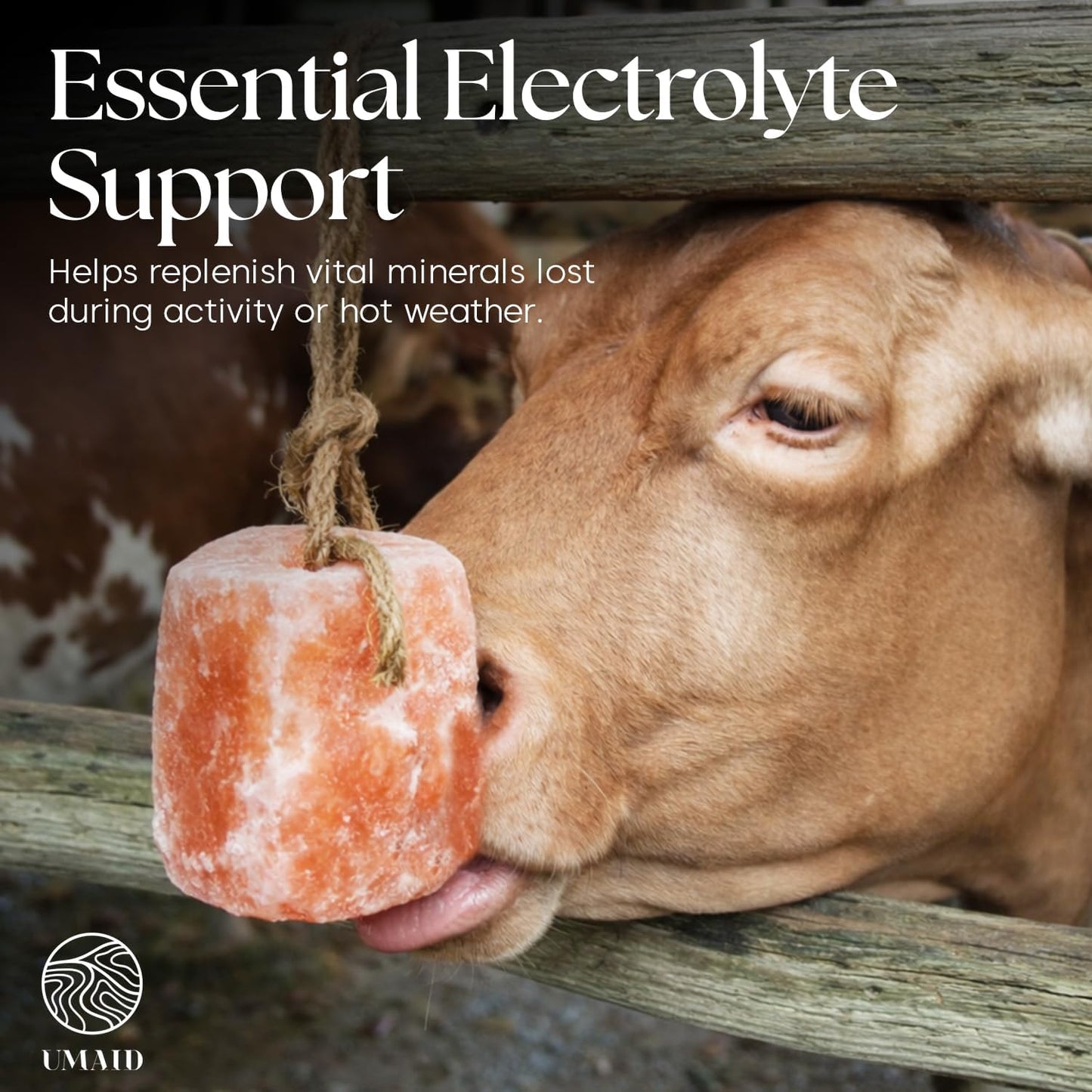 UMAID Himalayan Salt Lick 3 lbs On Rope for Horse, Deer, Goat, and Livestock Animals - Himalayan Salt Block 6 Pack