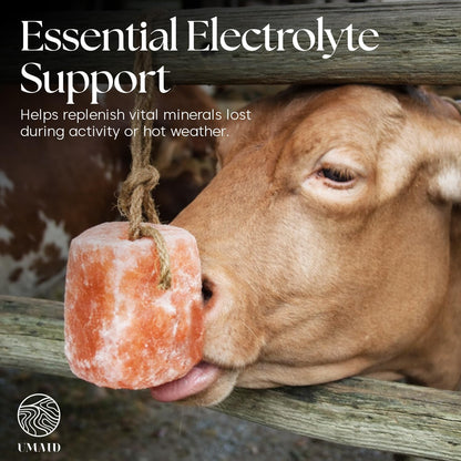 UMAID Himalayan Salt Lick 3 lbs On Rope for Horse, Deer, Goat, and Livestock Animals - Himalayan Salt Block 6 Pack