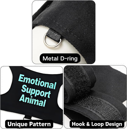 Bearded Dragon Harness and Leash Set - Adjustable Lizard Traction Rope Outdoor Walking Training Leash Reptile Emotional Support Animal Costume Accessories for Bearded Dragon Lizard Small Pets (Blue)