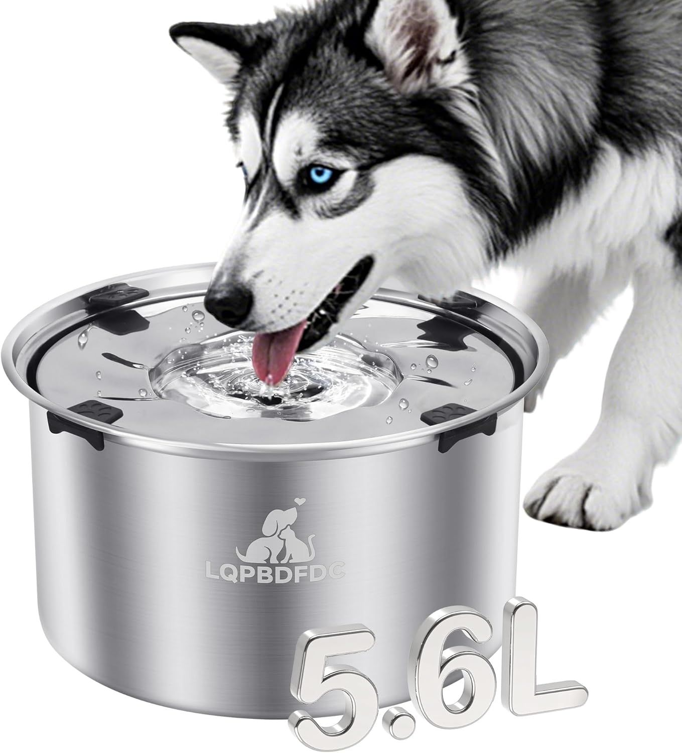 Dog Water Bowl No Spill and Slow Feeder Dog Bowl, 304 Stainless Steel