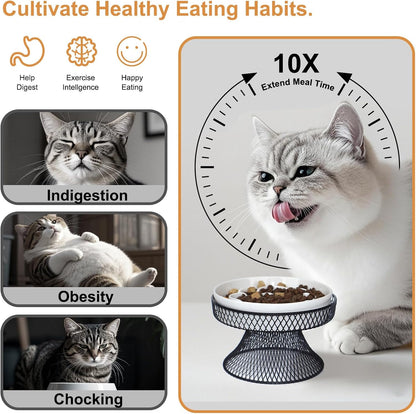 Raised Ceramic Cat Slow Feeder Bowl, Elevated Cat Plate with Stand, Slow Bowl for Wet and Dry Food, Whisker Friendly Pet Feeder for Kitten and Small Dog Perfect for Pet Gift