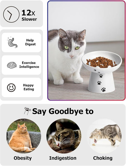 Y YHY Slow Feeder Cat Bowl, Ceramic Cat Slow Feeder Bowl, 6 Inches, Elevated, Anti Vomiting for Dry and Wet Food, White