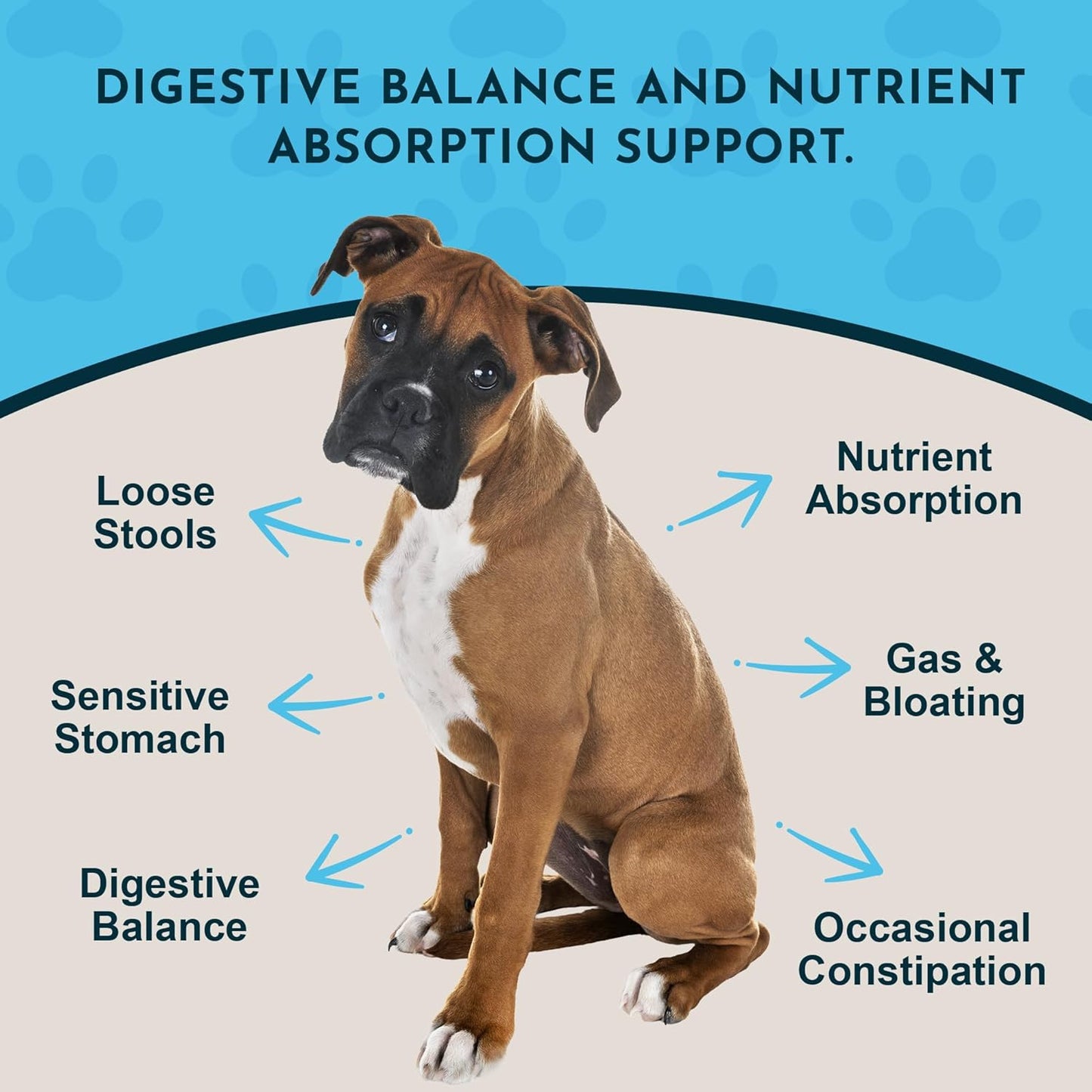 Animal Essentials Plant Enzyme & Probiotics - Probiotics & Digestive Enzymes for Dogs & Cats, Natural Daily Gut & Digestion Support Supplement for Pets, Plant Based - 3.5 Oz