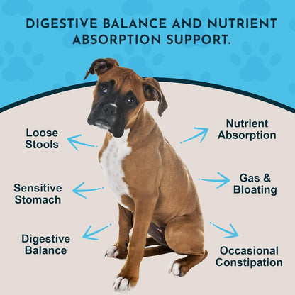 Animal Essentials Plant Enzyme & Probiotics - Probiotics & Digestive Enzymes for Dogs & Cats, Natural Daily Gut & Digestion Support Supplement for Pets, Plant Based - 3.5 Oz