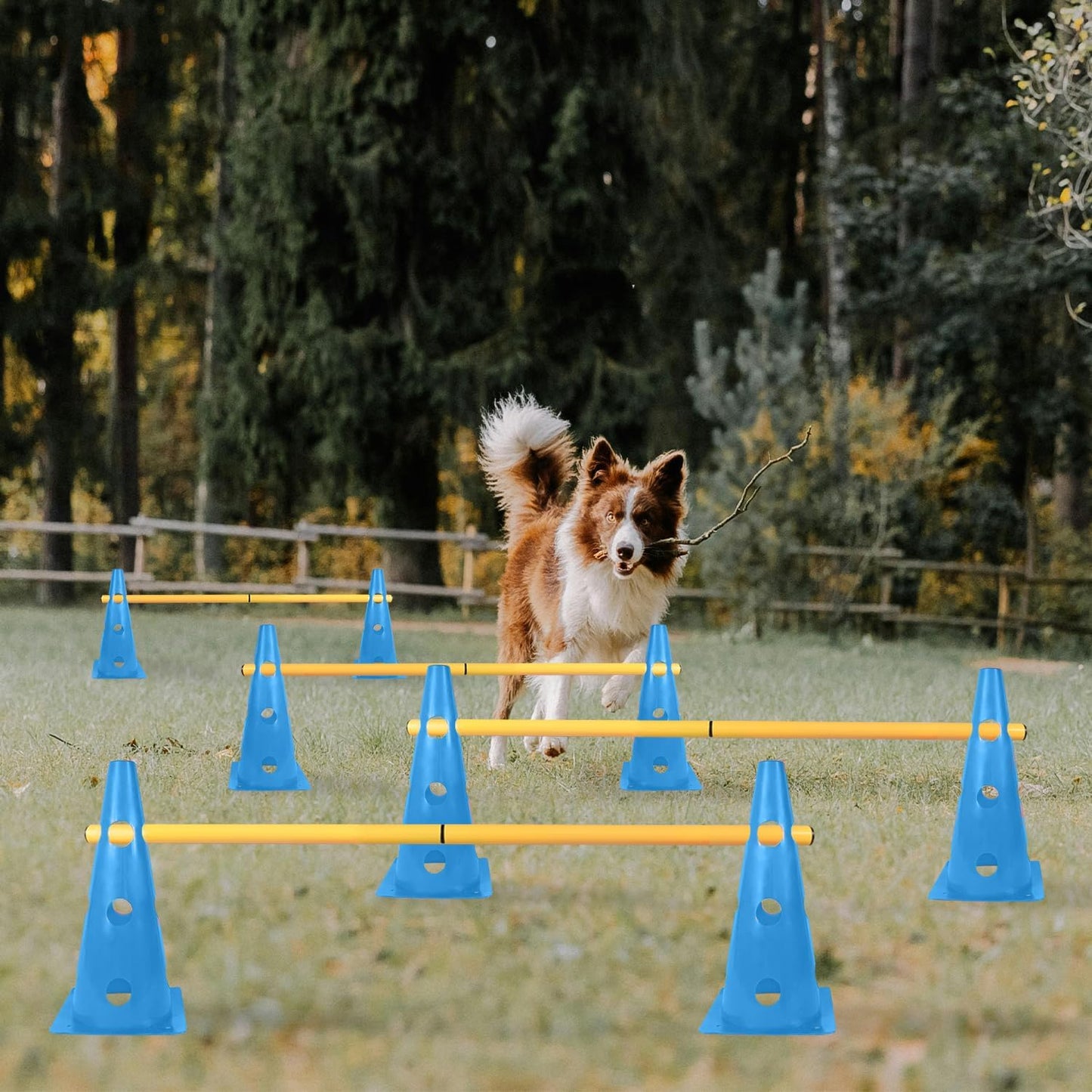 TNZMART Dog Agility Hurdle Cones Pet Jump Training Set Dog Agility Course Backyard Set Adjustable Obstacle Training Set (Blue, 6 Sets)