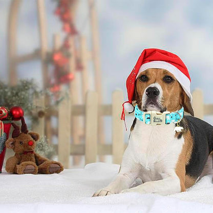 Dog Collar, Blue Bear Print Cute Pet Collars Durable Plastic Buckle Collars Adjustable Pet Collar for Small Girl or Boy Dogs