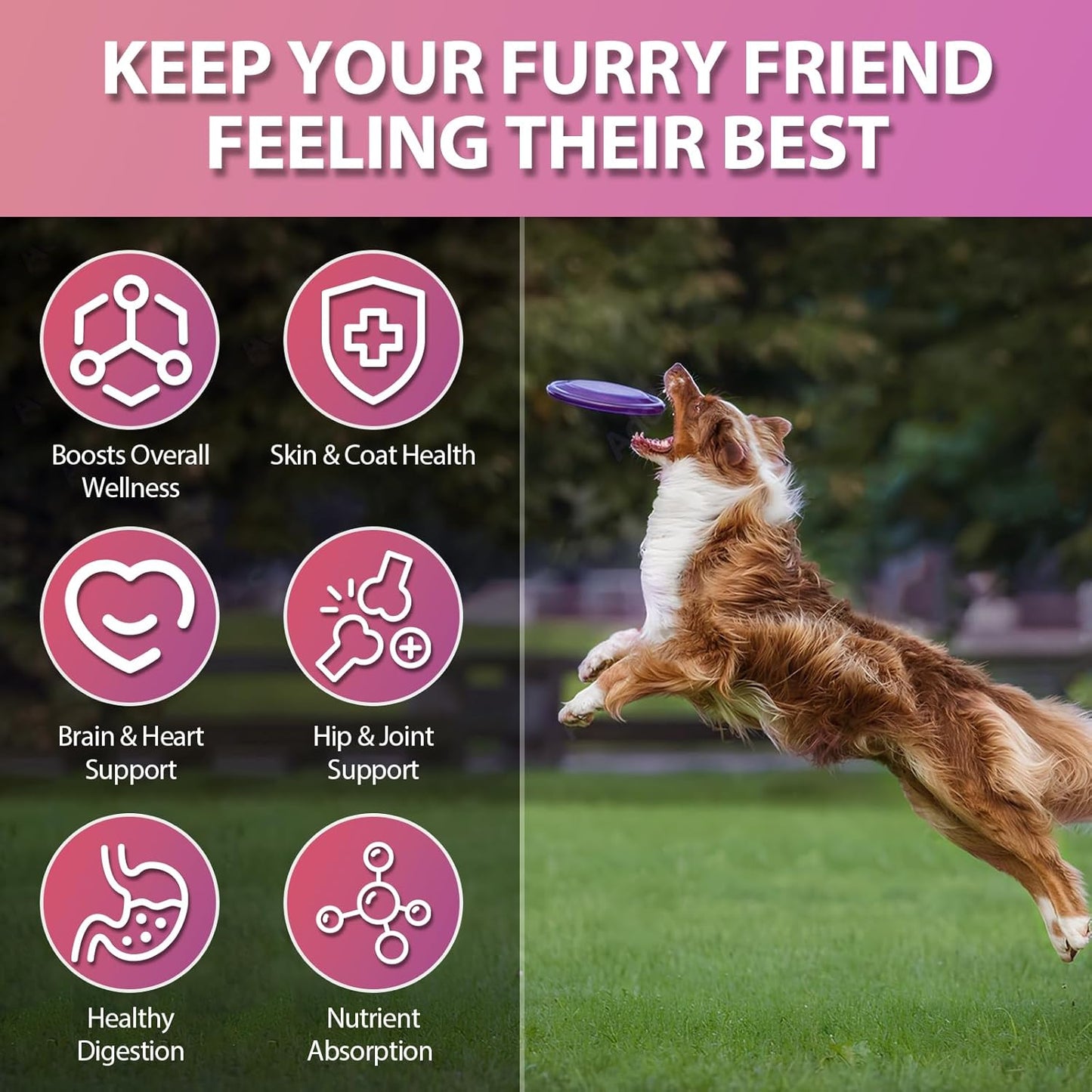 Dog Vitamins, 24 in 1 Dog Vitamins and Supplements 200 Chews with Glucosamine Probiotics Omega-3 Dog Multivitamins Chewable for Hip & Joint, Skin & Coat, Immune Health, Digestive (Chicken)