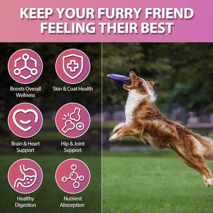 Dog Vitamins, 24 in 1 Dog Vitamins and Supplements 200 Chews with Glucosamine Probiotics Omega-3 Dog Multivitamins Chewable for Hip & Joint, Skin & Coat, Immune Health, Digestive (Chicken)