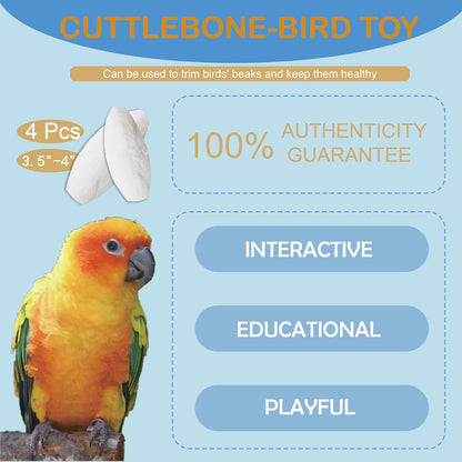 Jmxu's 3.5"-4" Cuttlebone for Birds Parakeets, Cuddle Bone with Metal Clip, Cuttlefish Bone for Sharp Beaks, Natural Birds Calcium for Parrots Cockatiels Tortoises, 4 Pcs