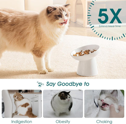 vancasso Ceramic Slow Feeder Cat Bowl, 6.25 Inch Elevated Cat Slow Feeder Bowl, Anti Vomiting for Dry and Wet Food, White