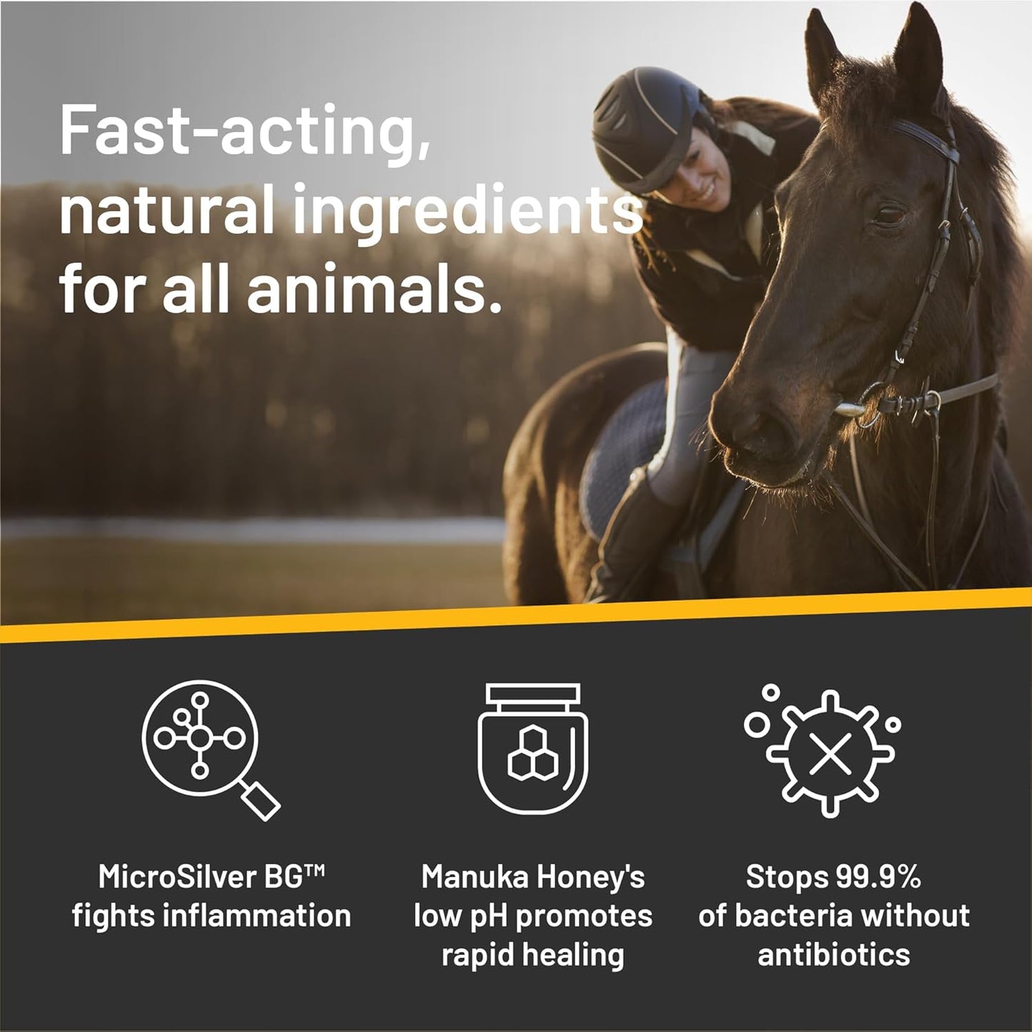 Absorbine Silver Honey Rapid Wound Repair Spray Gel for Horses & Large Animals, 8oz Bottle