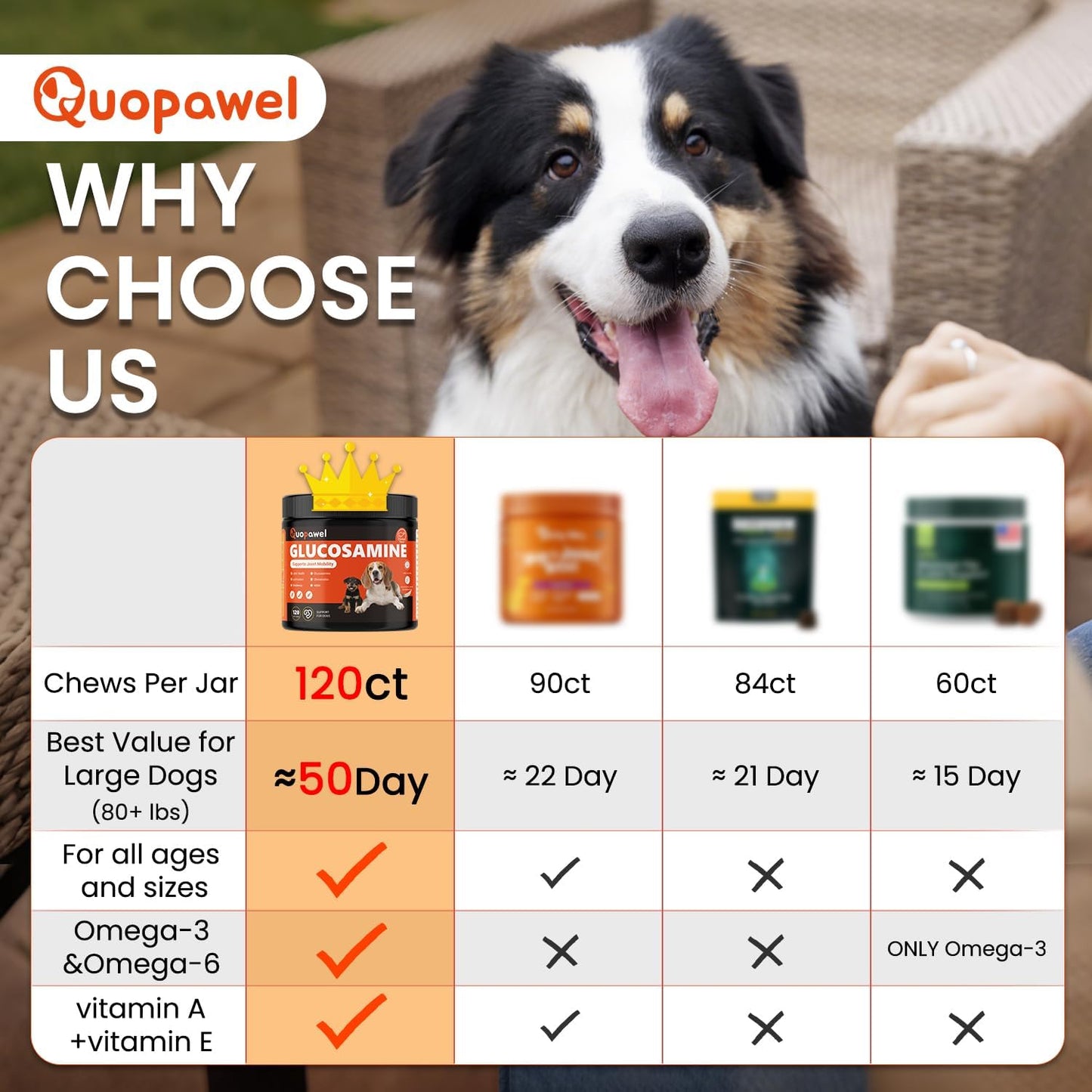 Hip and Joint Supplement for Dogs with Glucosamine, Chondroitin, MSM & Yucca - Glucosamine for Dogs，Joint Pain Relief Chews for Mobility & Discomfort-Chicken Flavor, 120 Count