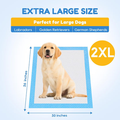 60 Count-30" x 36" XXL Puppy Pads, Extra Large Pee Pads for Dogs, Super Absorbent Disposable Dog Training Pads, Quick Drying, Leak-Proof, Ultra Thick Potty Pads for Dogs, Puppies, Doggie, Cats
