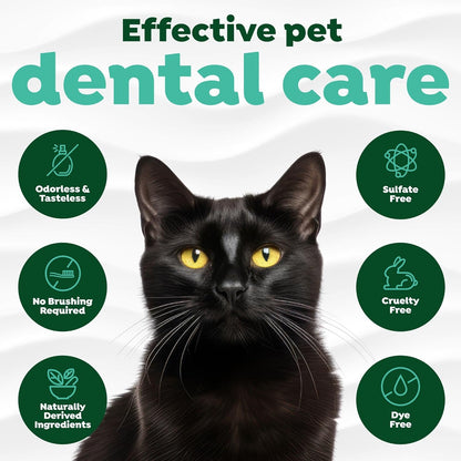 TropiClean Fresh Breath Cat Dental Water Additive + Urinary Tract Support, with Cranberry Extract, Teeth Cleaning & Breath Freshener Solution, 16oz