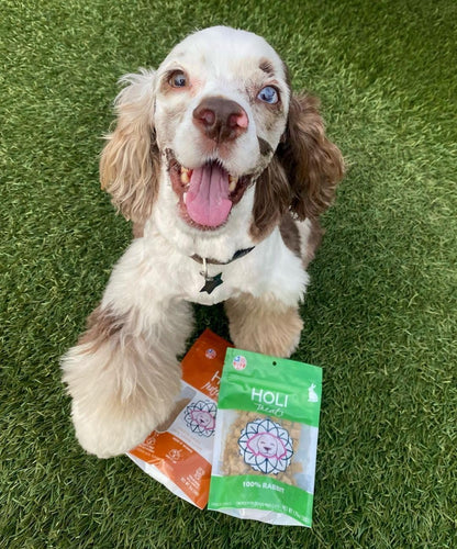 HOLI Lamb Liver Dog Food Topper - Single Ingredient, Human-Grade - Freeze Dried Dog Food Toppers and Flavor Enhancer for Picky Dogs – Grain Free – 100% All Natural - 4oz