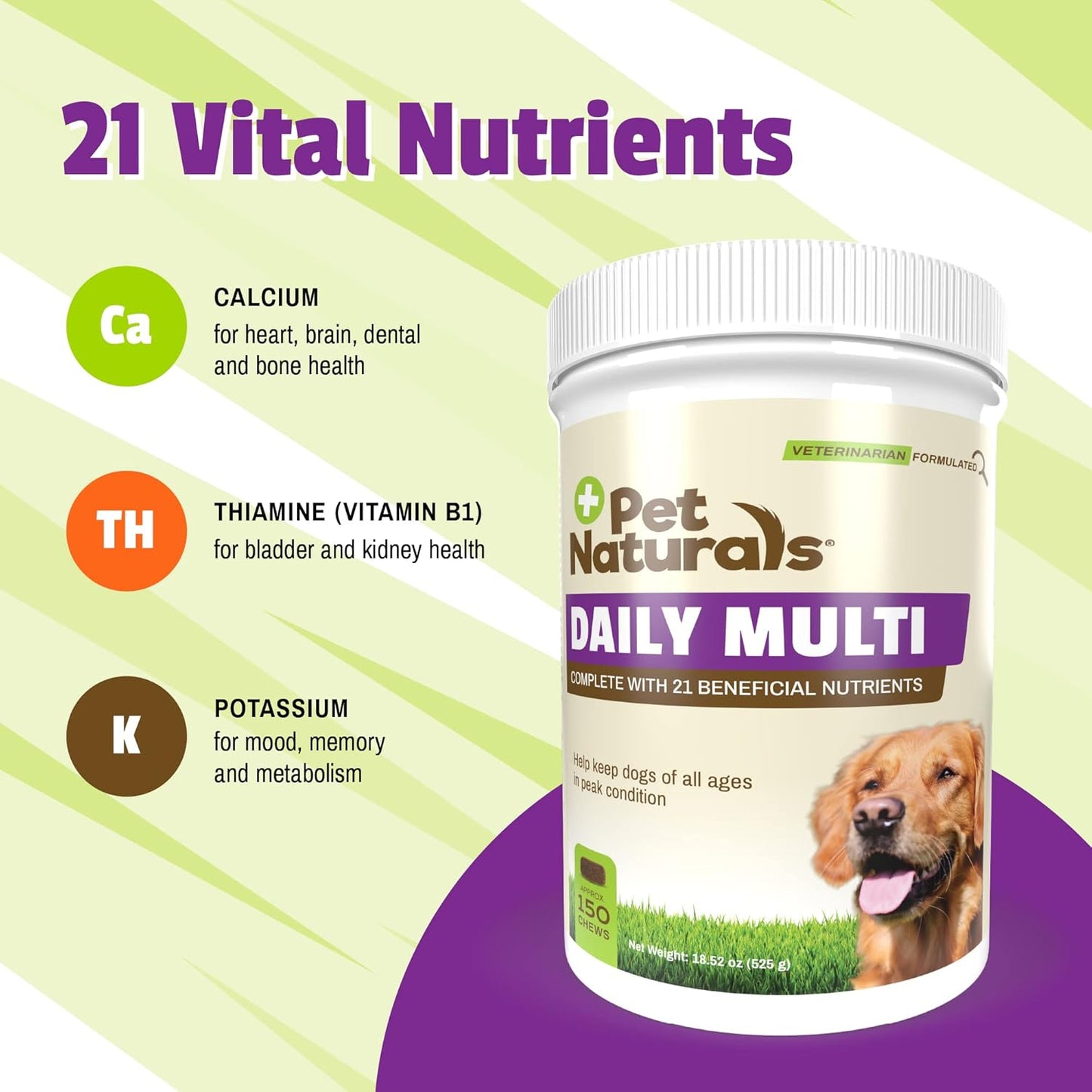 Pet Naturals Daily Multivitamin for Dogs, Veggie Flavor, 150 Chews - Yummy Chews with Amino Acids, and Antioxidants - Supports Energy, Metabolic Function and Pet Wellness