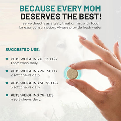 Dog Vitamins and Supplements - Chewable Dog Prenatal Vitamins for Large and Small Breed - Multivitamin Supplement for Health Support and Development - 120 Soft Chews