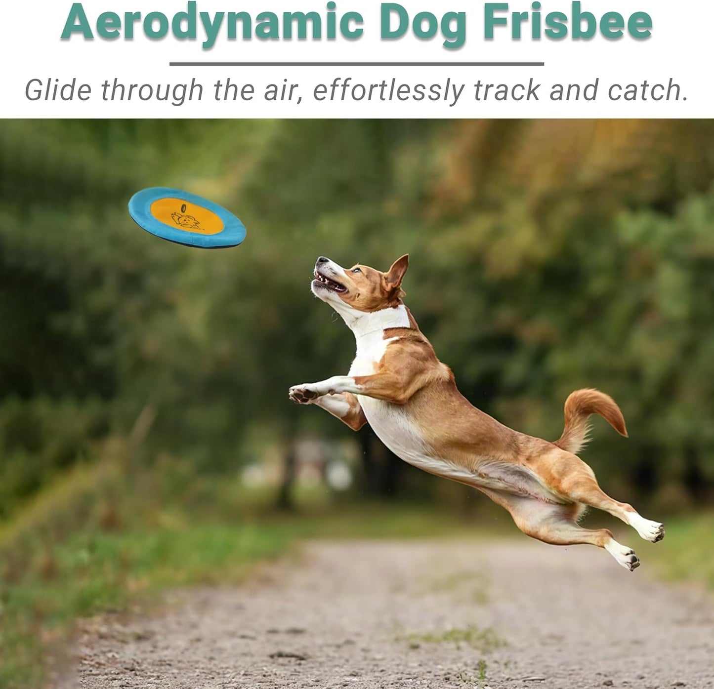 3 Packs Nylon Interactive Dog Flying Disc - Floating Dog Toys for Aggressive chewers - Water Toys for Dogs