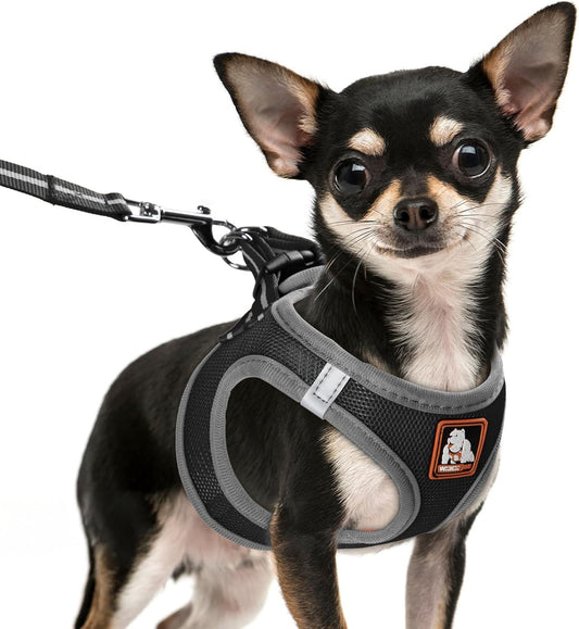 Dog Harness Medium Sized Dogs, Puppy Harness and Leash Set for Training, Running, Walking, Suitable for Small and Medium Dog Vest, Black, S