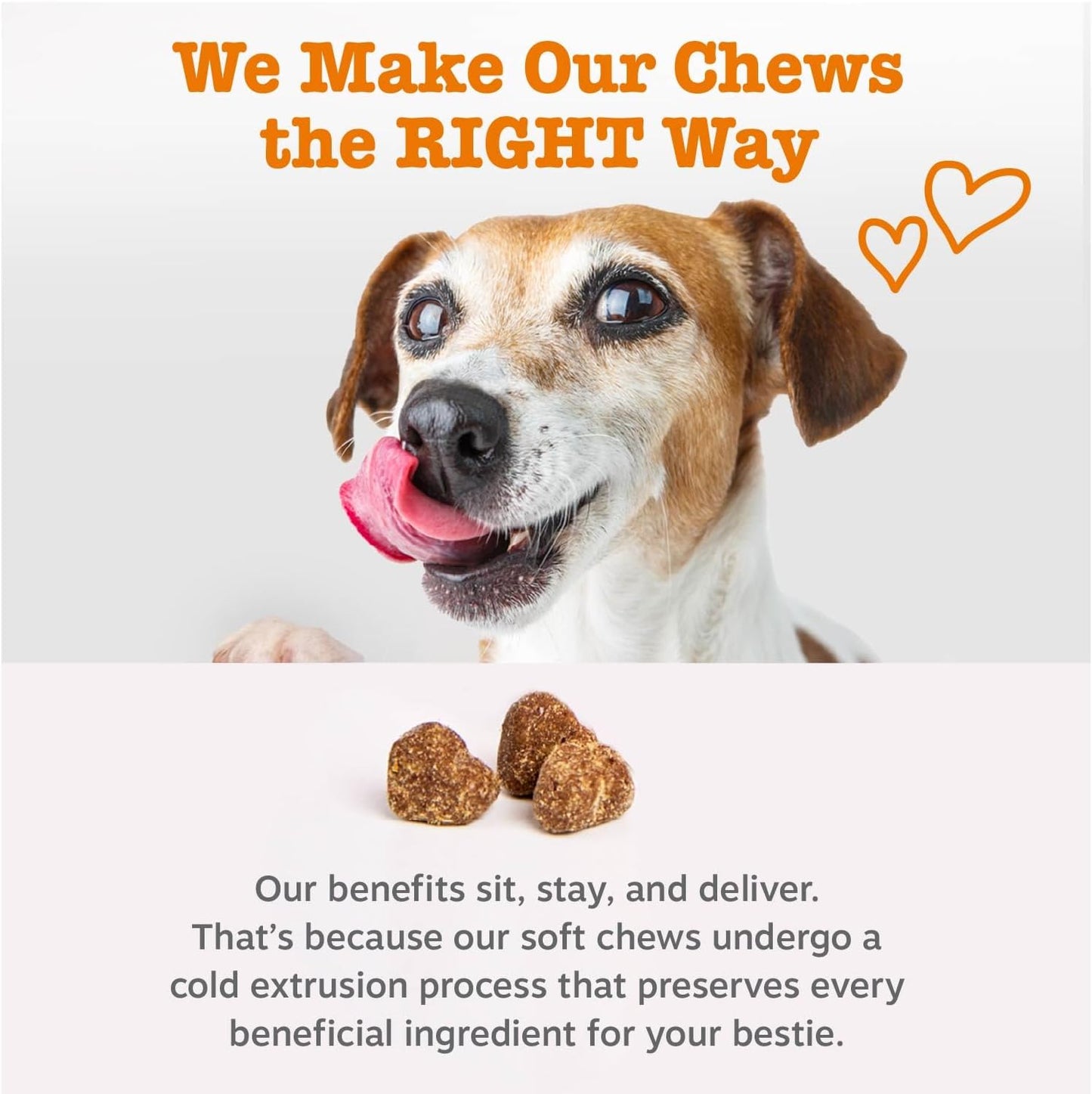 Zesty Paws Salmon Oil for Dogs Skin and Coat, Omega 3 Fish Oil Chews, Dog Allergy Relief Chews, Itch Relief Supplement, 250 Count, Salmon Flavor