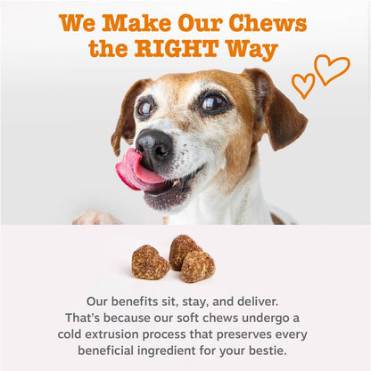Zesty Paws Salmon Oil for Dogs Skin and Coat, Omega 3 Fish Oil Chews, Dog Allergy Relief Chews, Itch Relief Supplement, 250 Count, Salmon Flavor